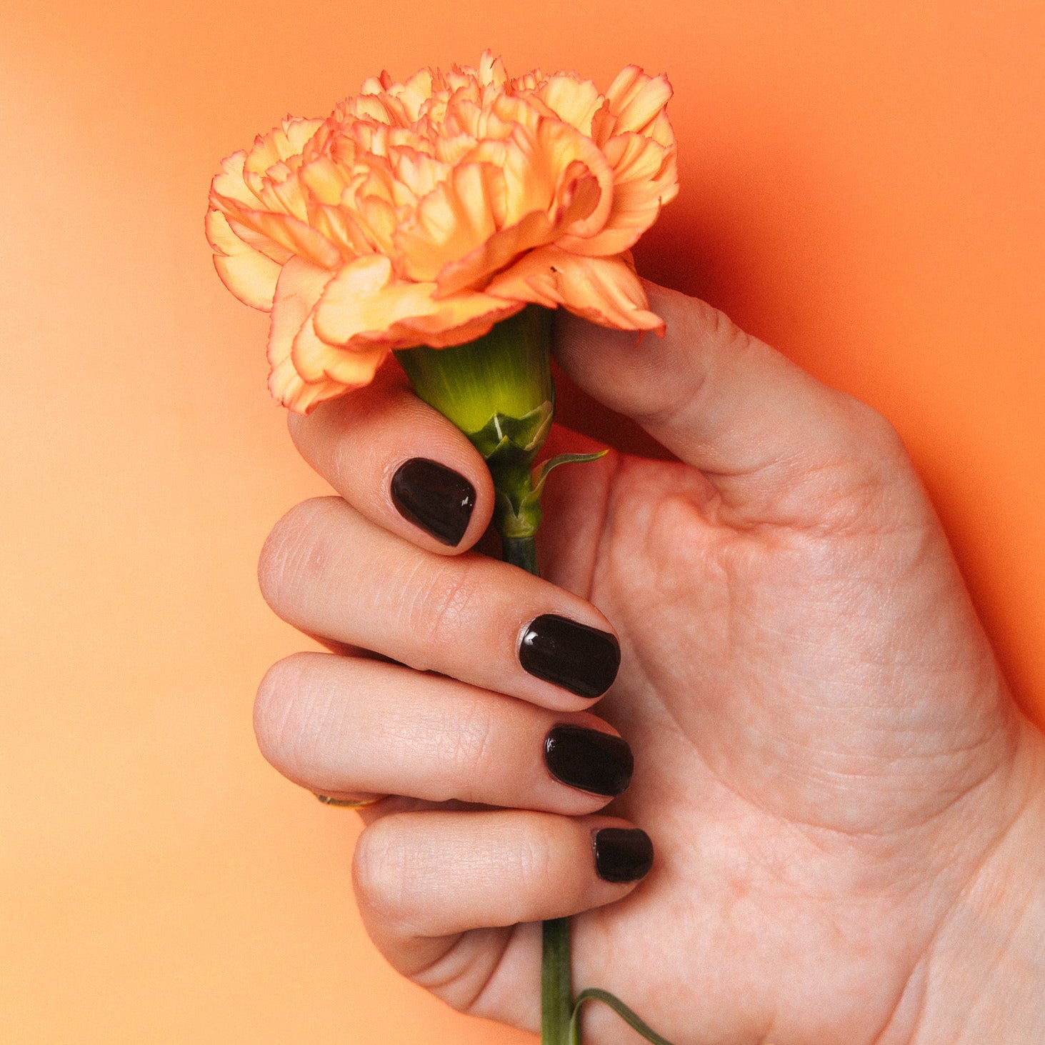 Busu Brown orange flower brown nails