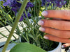 Fade Away Maniac Nails Gellak Stickers Soft Ombre Lila plant