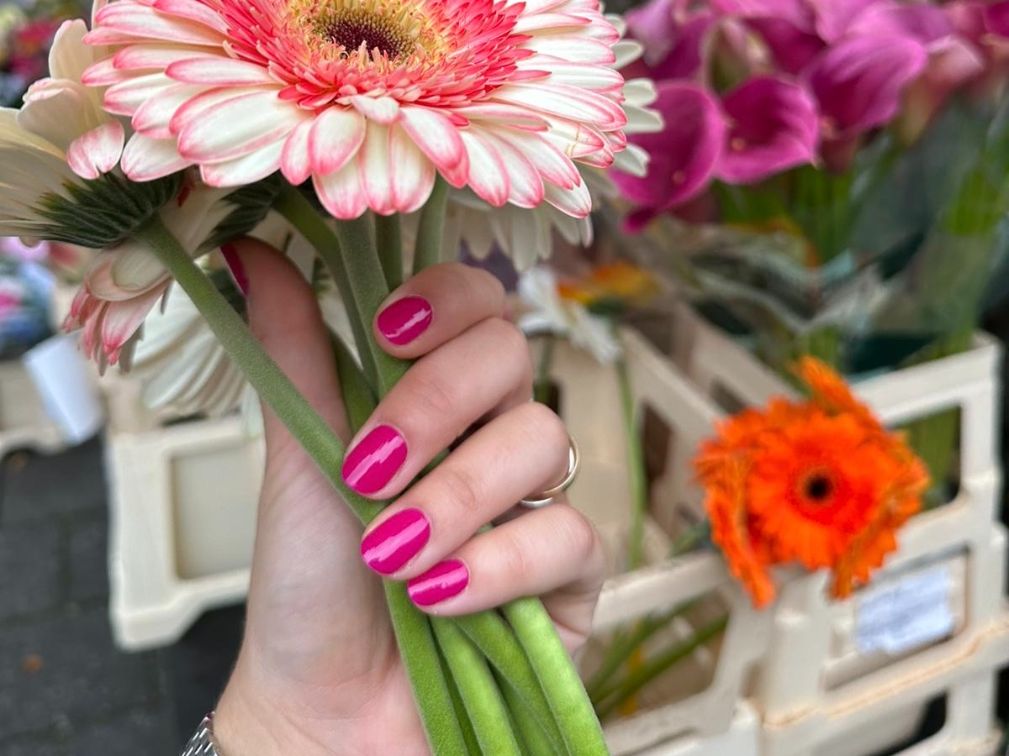 Fiona Fuchsia Maniac Nails Blushing Beauty Bundle with fllowers