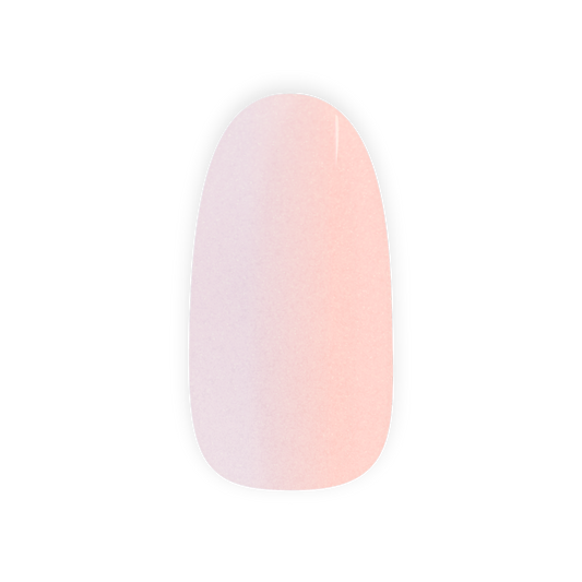 Pastel Dream
