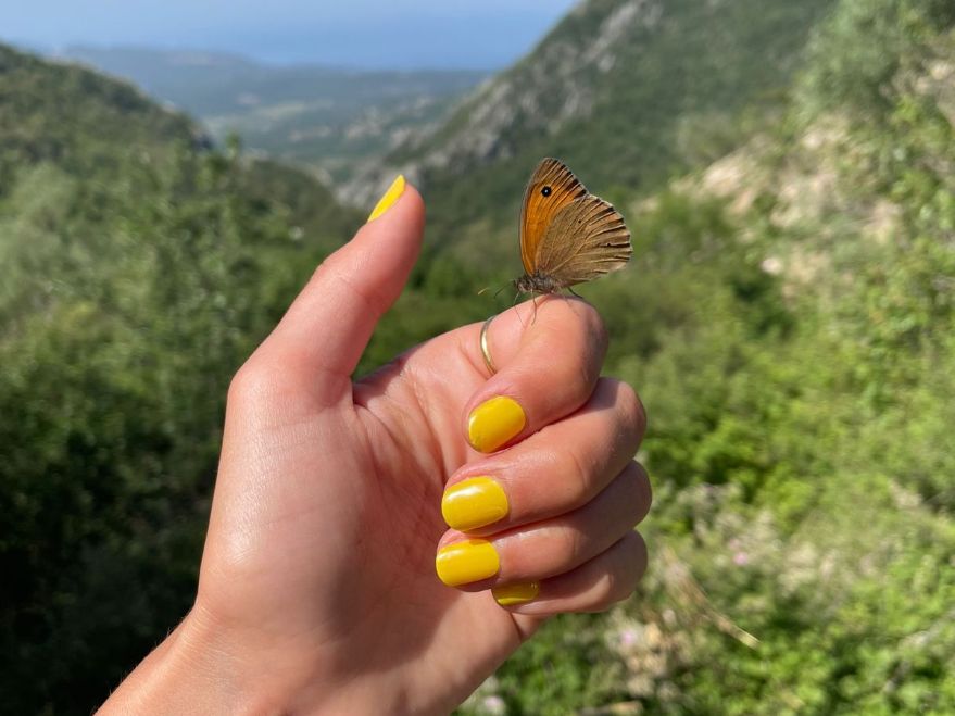 Bella's Yellow Maniac Gellak Stickers met een vinder in de bergen